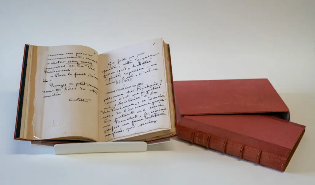 Livre "Mitsou ou comment l'esprit vient aux filles" de Colette